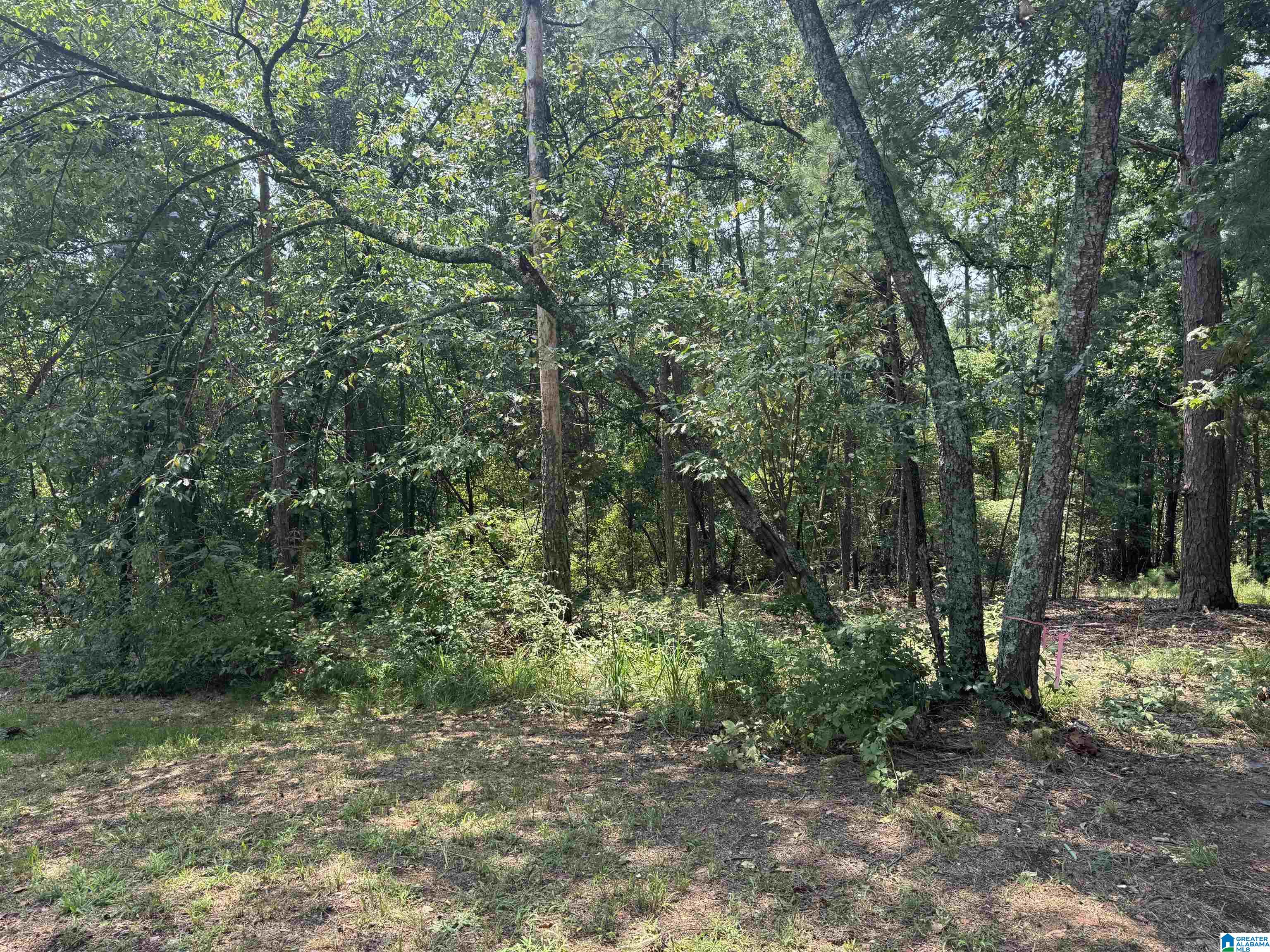 305 Stone Ridge Trail North Anniston, AL 36207 - Photo 52 of 72