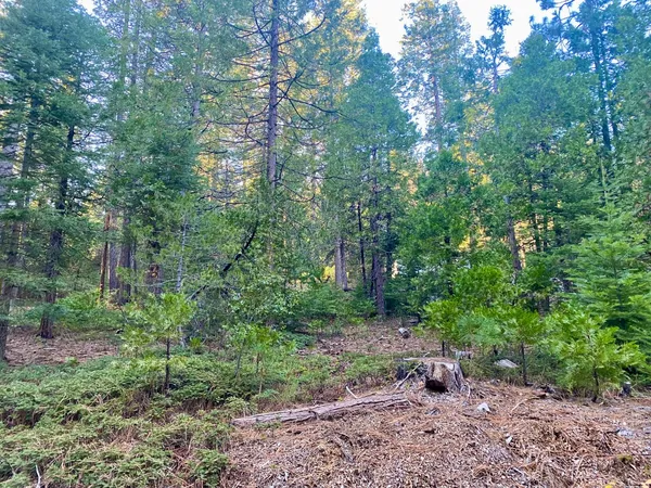 $25,000 | 1557 Lily Valley Way, West Point, CA 95255