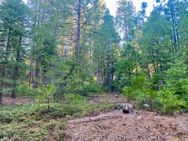 $27,500 | 1557 Lily Valley Way, West Point, CA 95255