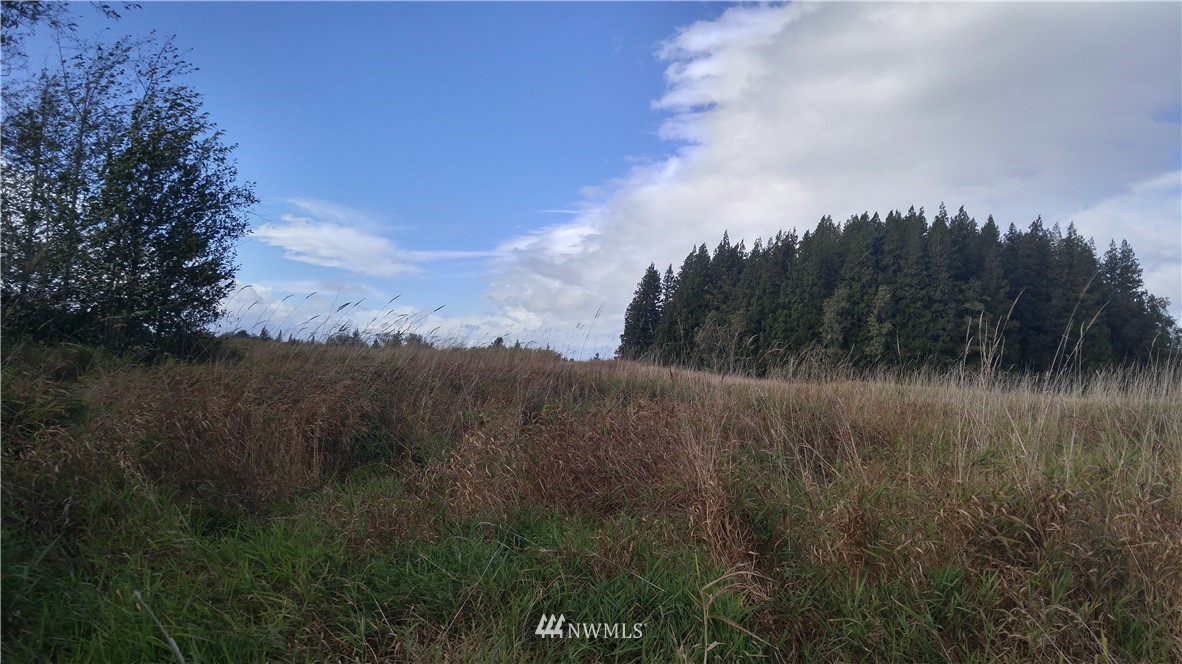 4 Olson Road Ferndale, WA 98248 - Photo 1 of 5