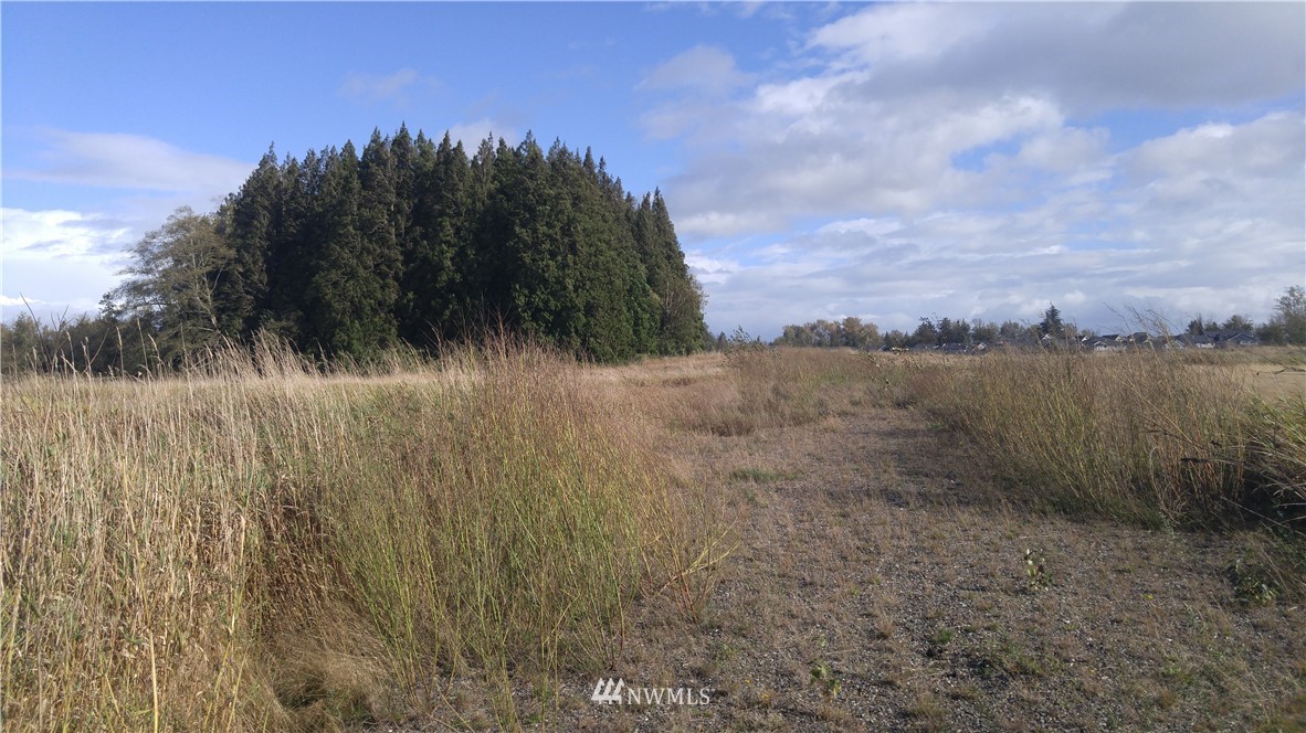 4 Olson Road Ferndale, WA 98248 - Photo 5 of 5