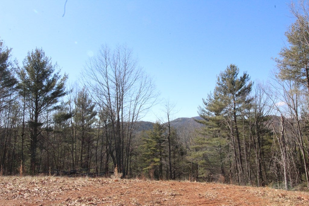 Tbd Ivanhoe Road, Unit 60A34 Fries, VA 24330 - Photo 4 of 45 Gallery Image 4