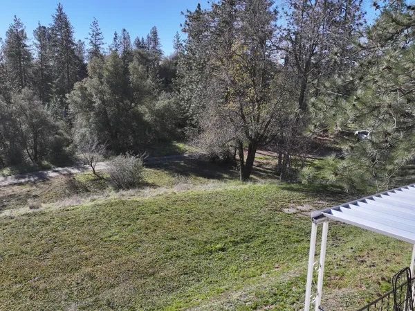 a view of a dry yard with lots of trees