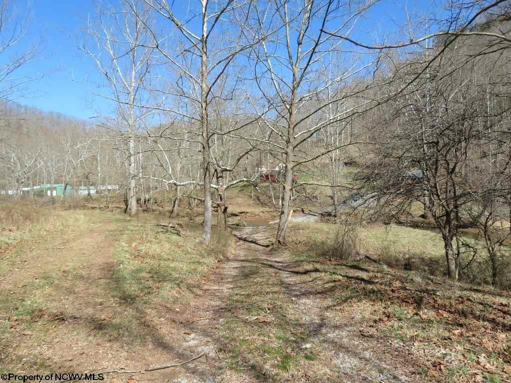 0 Exchange Exchange, WV 26619 - Photo 15 of 20 Gallery Image 15