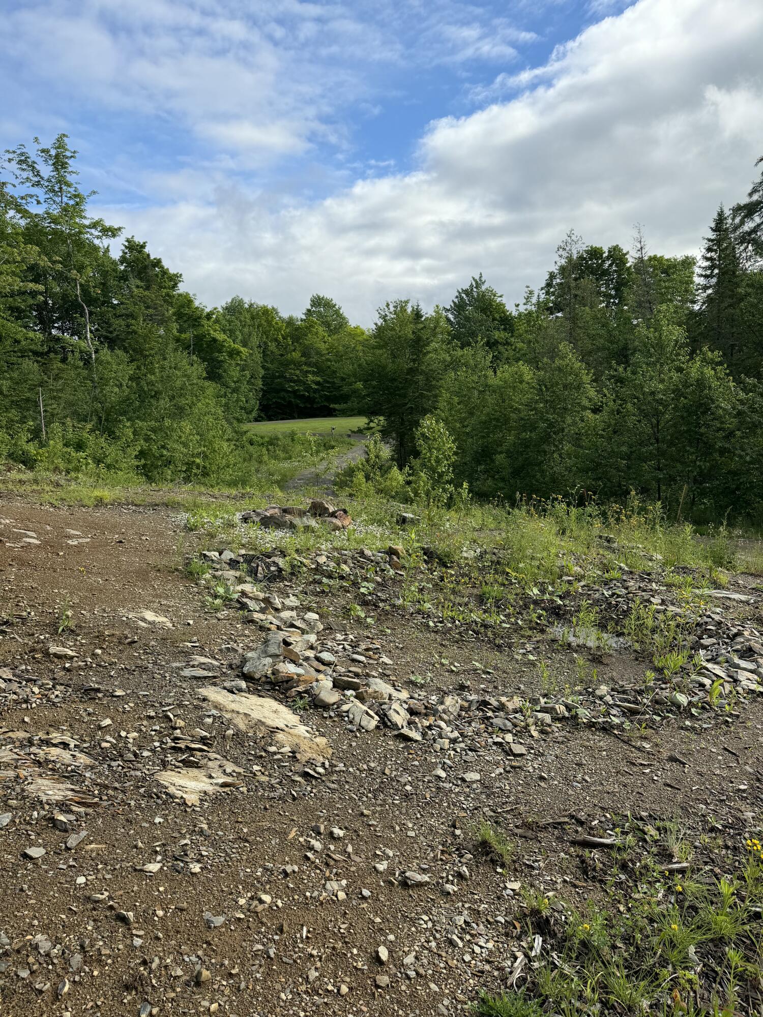 135 Hemore Road Ludlow, ME 04730 - Photo 15 of 15 IMG_20260629_193951