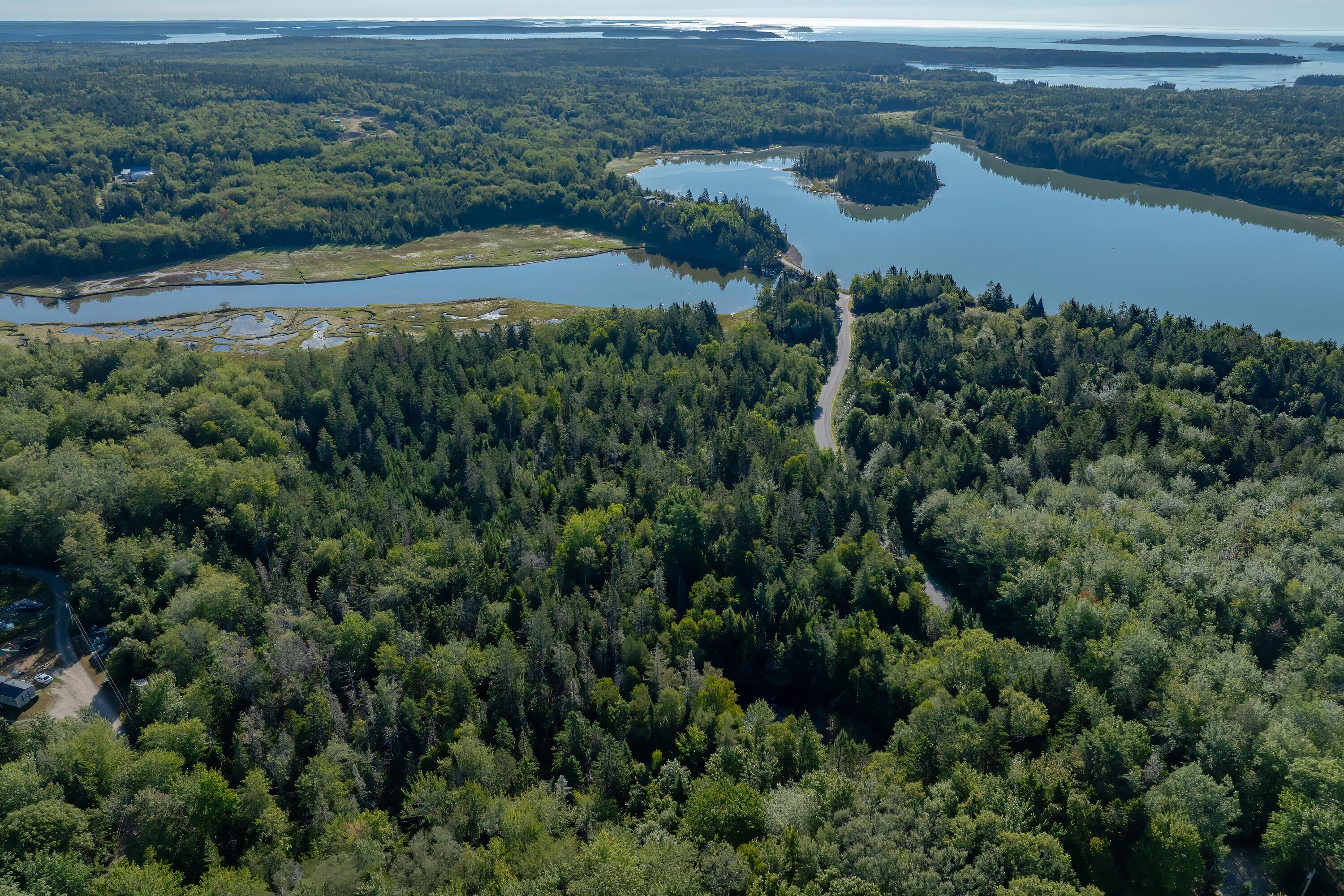 Lot 54 Pinkham Bay Bridge Road Steuben, ME 04680 - Photo 11 of 13 11-Pinkham Bridge Road Land-DTP