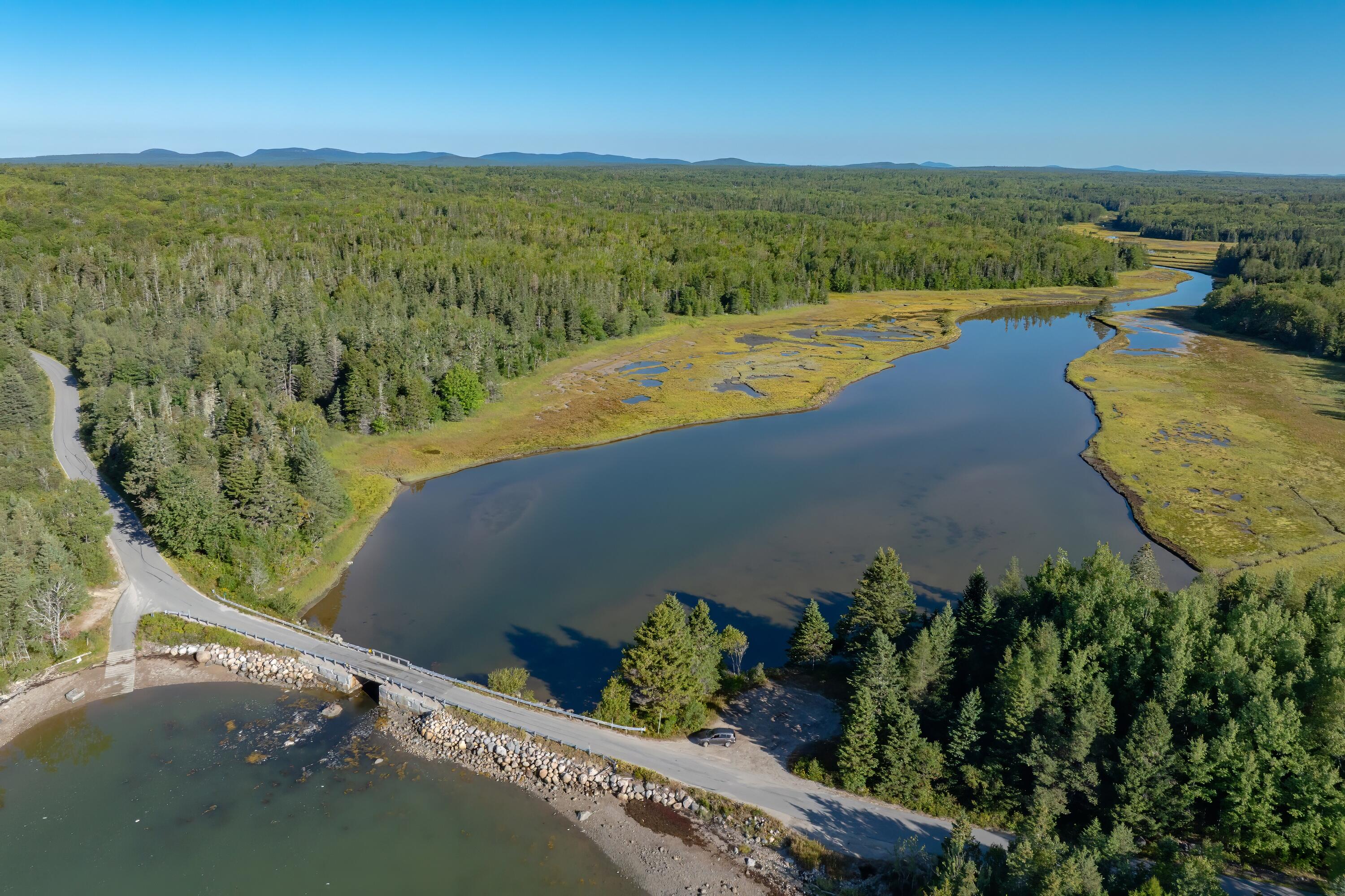 Lot 54 Pinkham Bay Bridge Road Steuben, ME 04680 - Photo 13 of 13 14-Pinkham Bridge Road Land-DTP