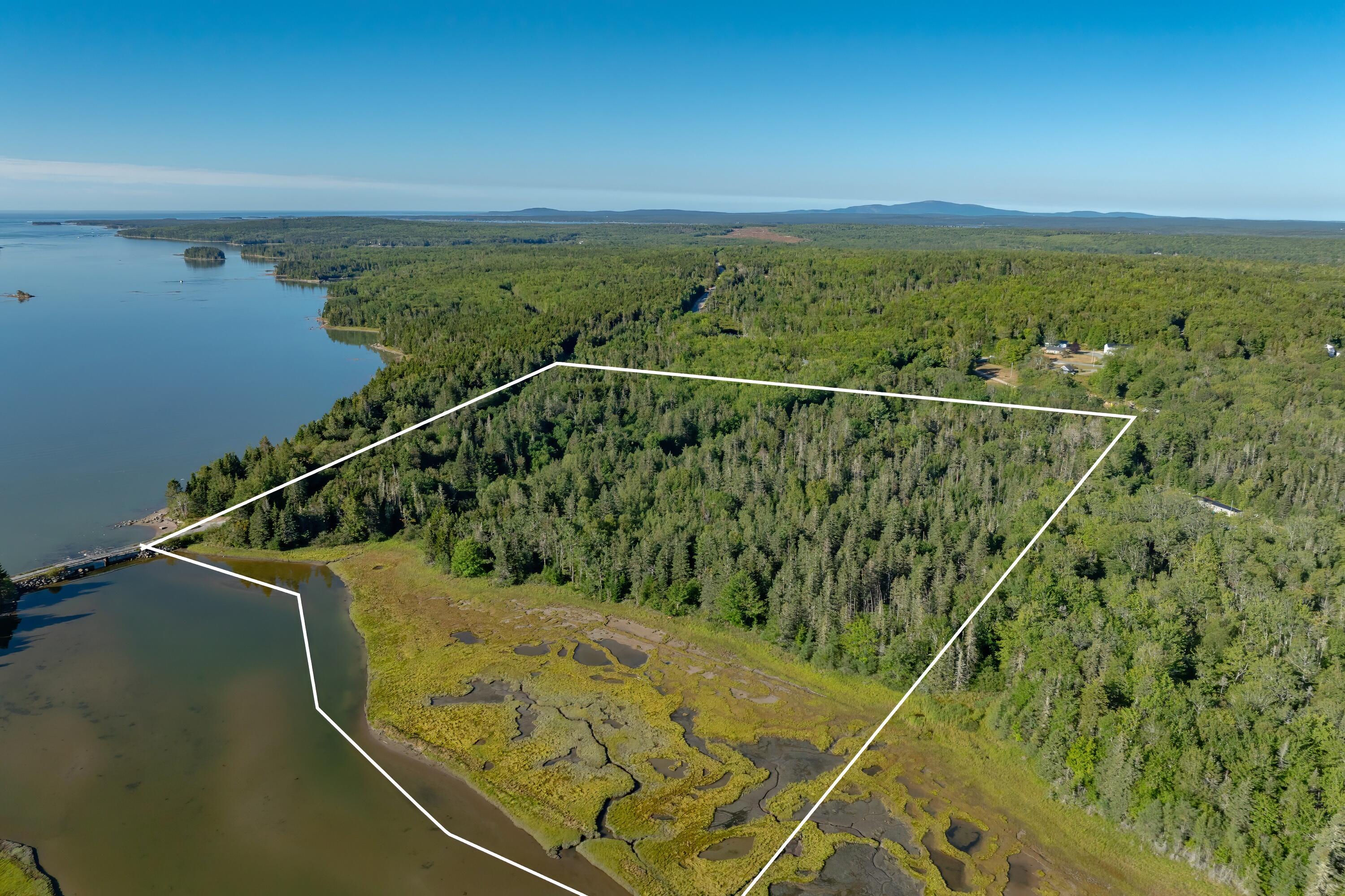 Lot 54 Pinkham Bay Bridge Road Steuben, ME 04680 - Photo 3 of 13 03-Pinkham Bridge Road Land-DTP