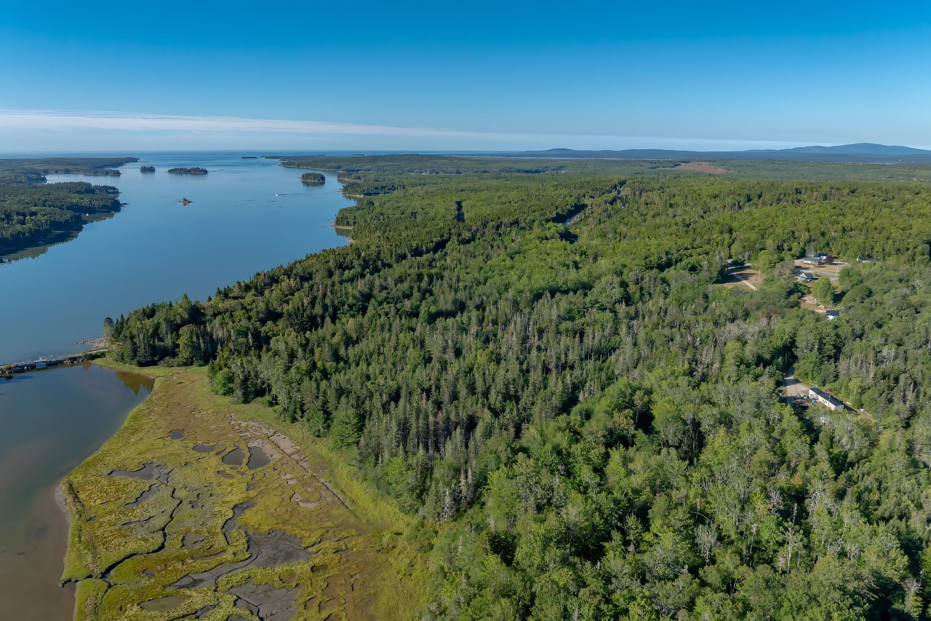Lot 54 Pinkham Bay Bridge Road Steuben, ME 04680 - Photo 5 of 13 05-Pinkham Bridge Road Land-DTP