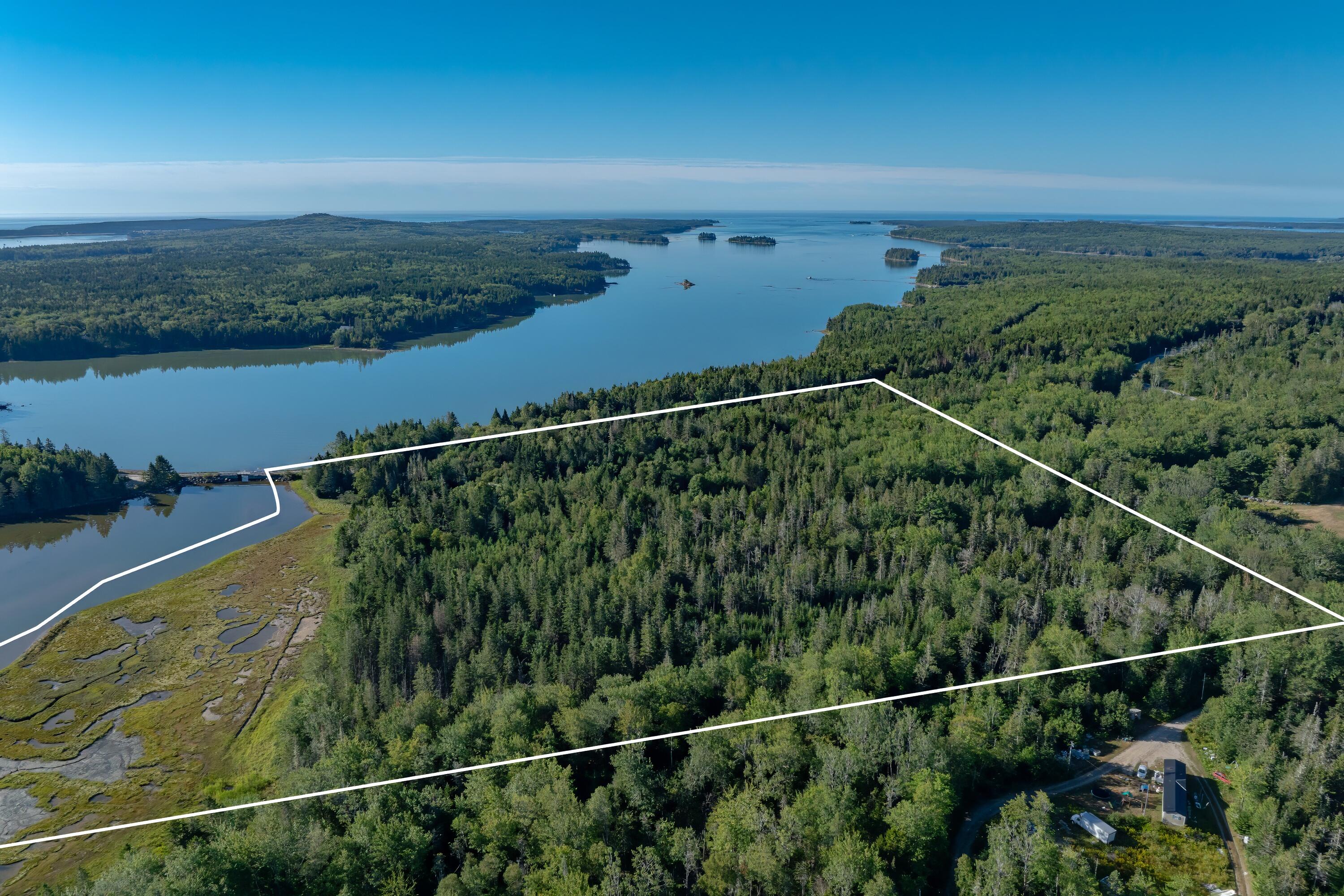 Lot 54 Pinkham Bay Bridge Road Steuben, ME 04680 - Photo 6 of 13 06-Pinkham Bridge Road Land-DTP