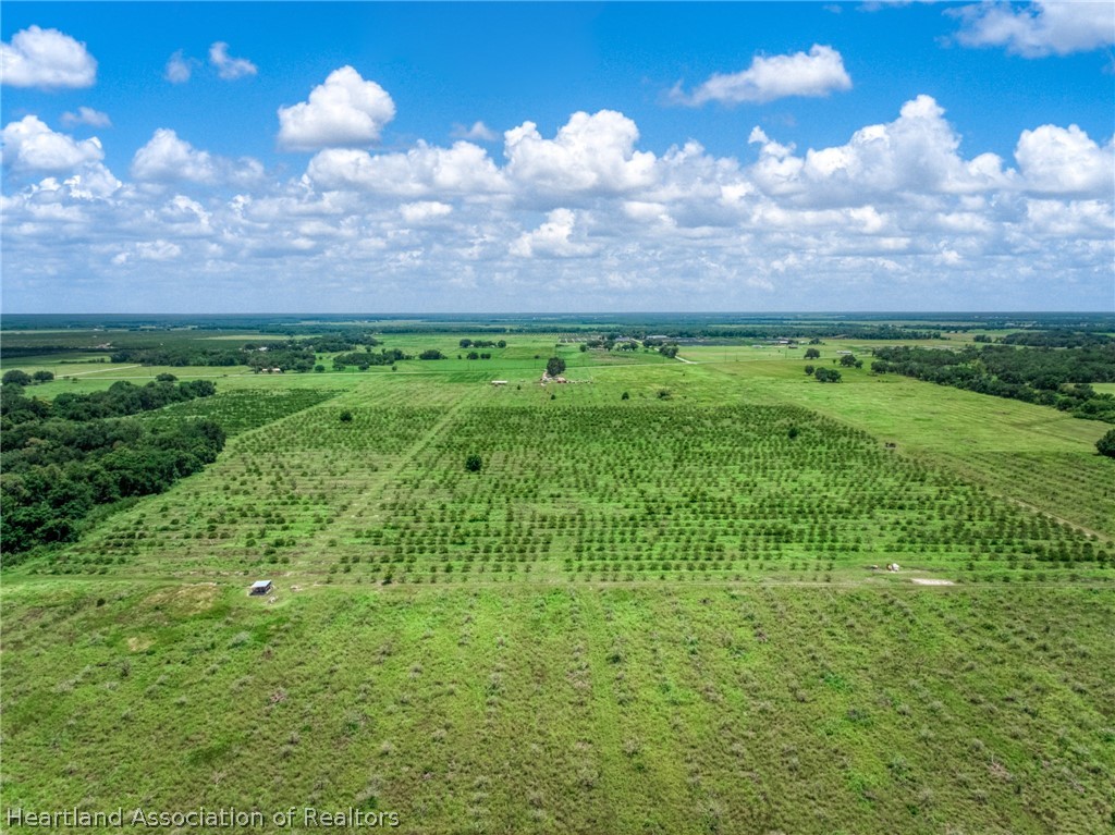 Stephens Road Wauchula, FL 33873 - Photo 6 of 7