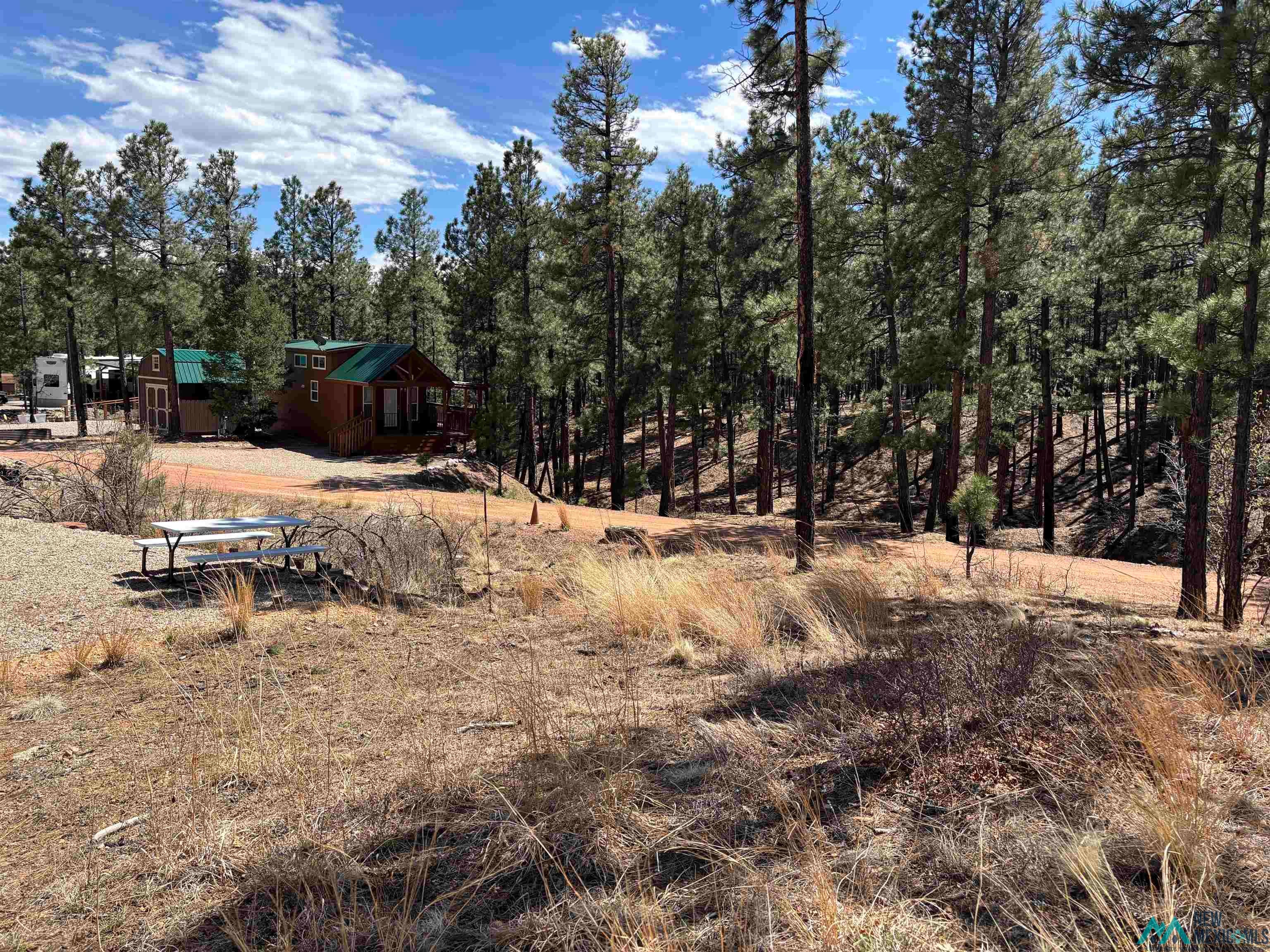 1 Blue Jay Road Rociada, NM 87742 - Photo 15 of 22