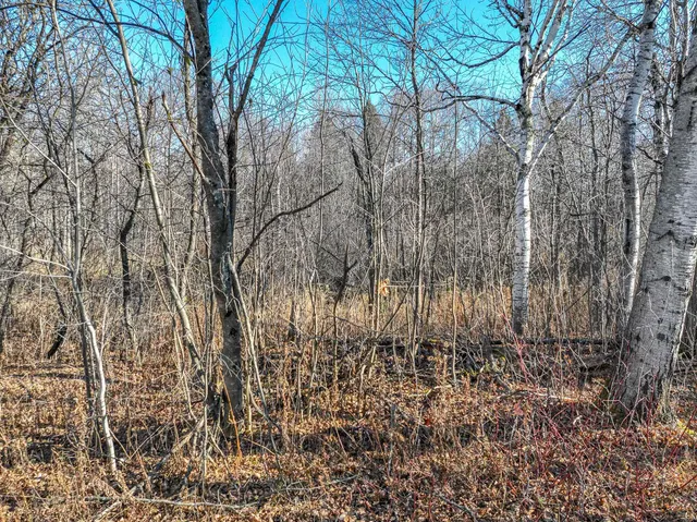 $30,000 | 20-xx Stanford Avenue, Duluth, MN 55811