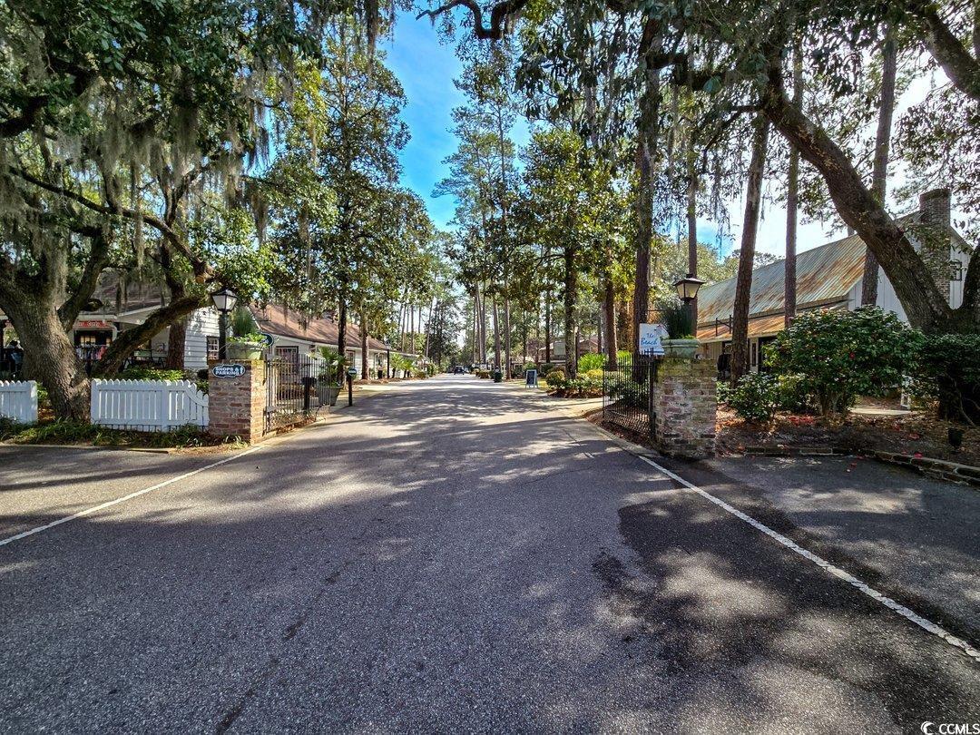 999 Algonquin Drive, Unit E Pawleys Island, SC 29585 - Photo 30 of 37 View of road