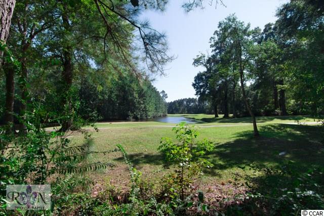Lot 467 Chamberlin Road Myrtle Beach, SC 29588 - Photo 2 of 23 Gallery Image 2