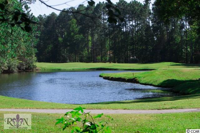 Lot 467 Chamberlin Road Myrtle Beach, SC 29588 - Photo 3 of 23 Gallery Image 3