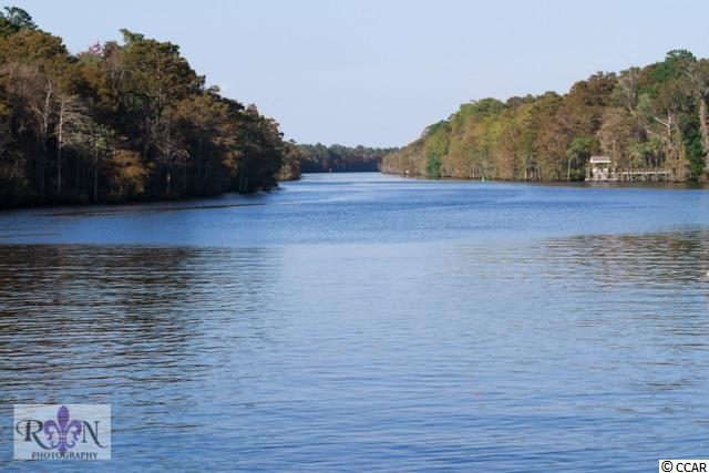 Lot 467 Chamberlin Road Myrtle Beach, SC 29588 - Photo 8 of 23 Gallery Image 8