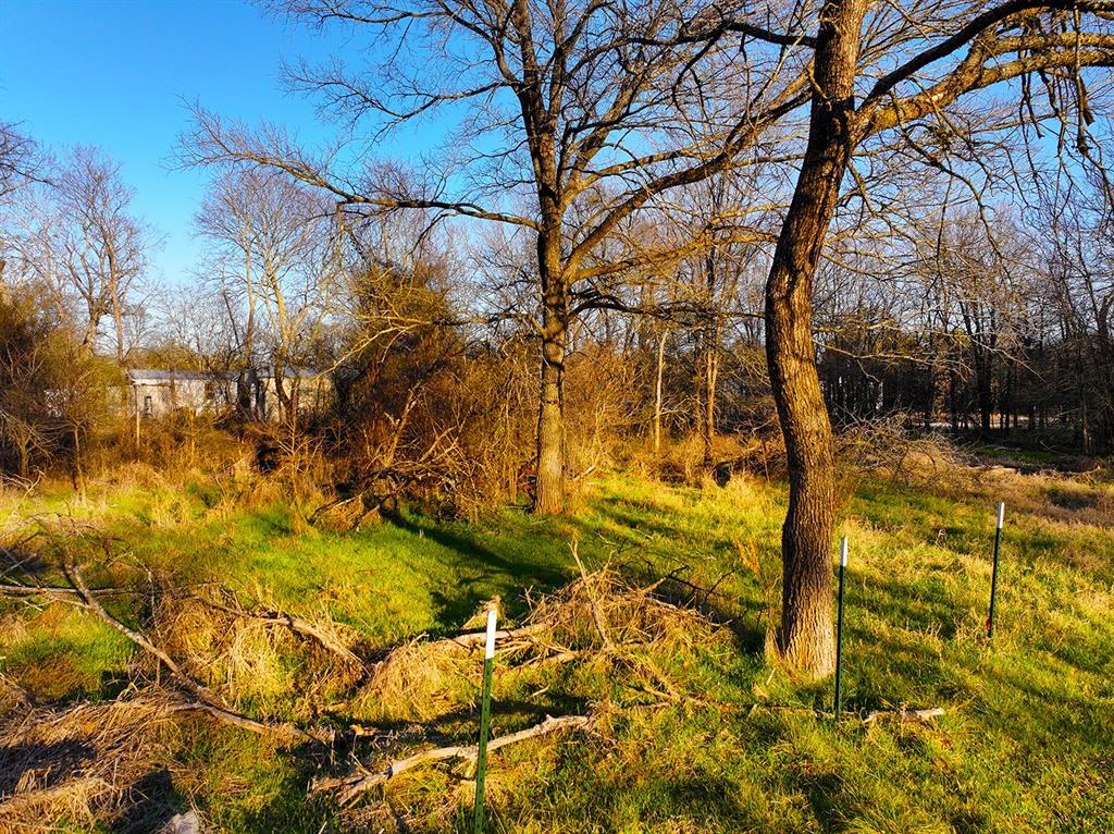 259 Northwest County 3115 Road Purdon, TX 76679 - Photo 11 of 15