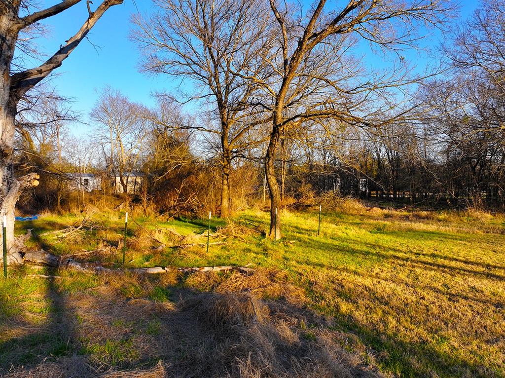 259 Northwest County 3115 Road Purdon, TX 76679 - Photo 12 of 15