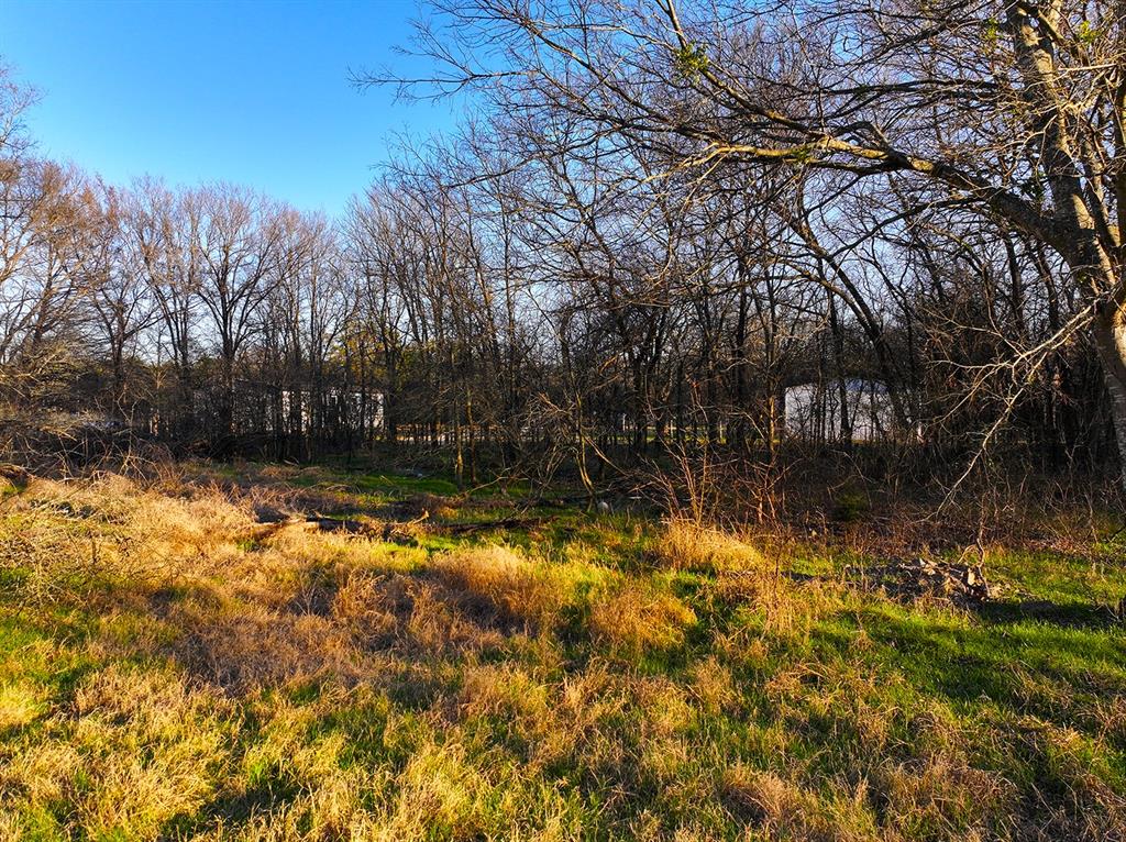 259 Northwest County 3115 Road Purdon, TX 76679 - Photo 13 of 15