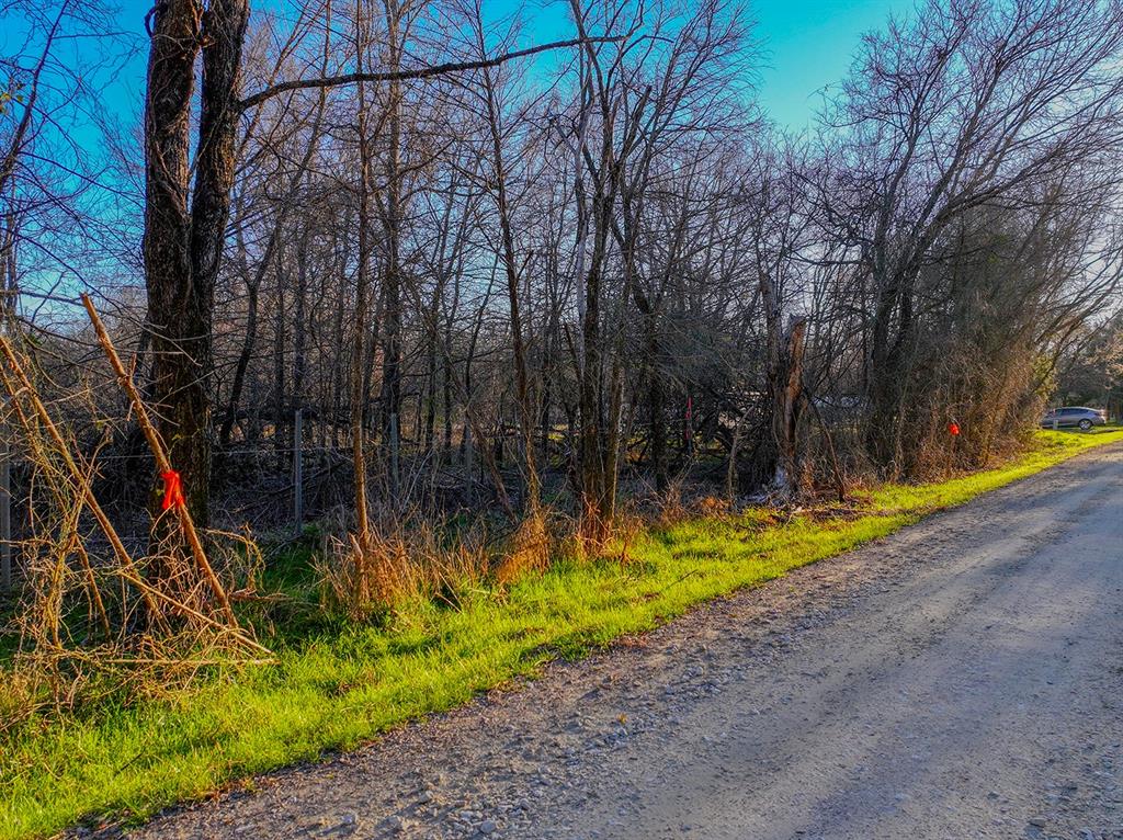 259 Northwest County 3115 Road Purdon, TX 76679 - Photo 6 of 15