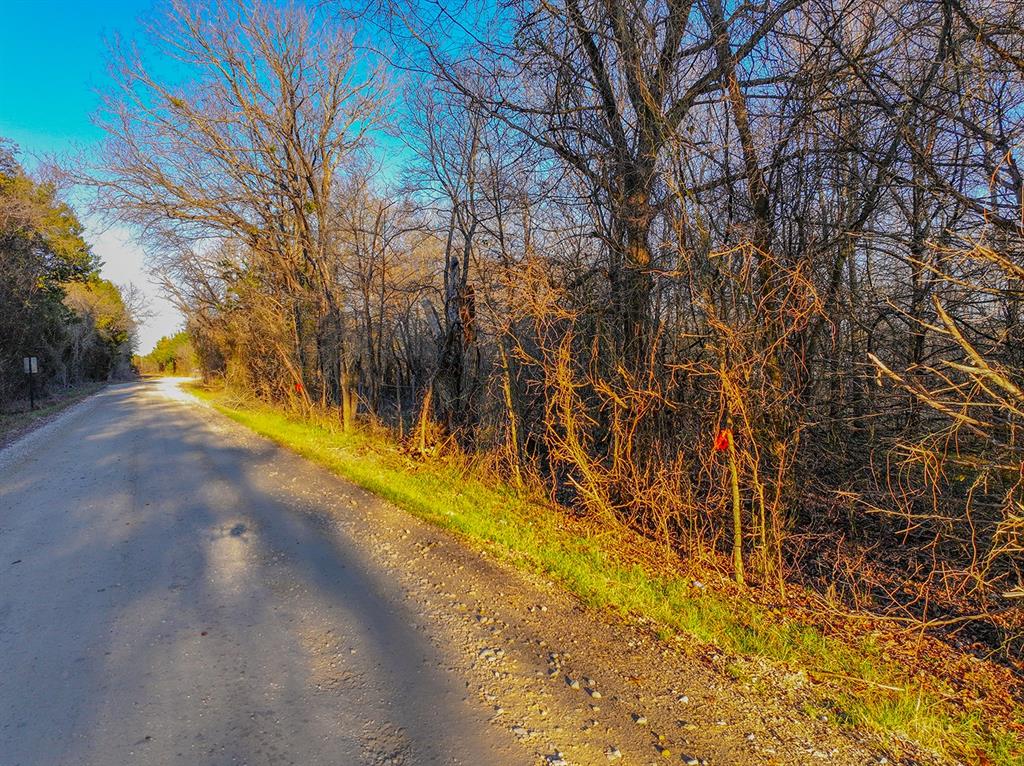 259 Northwest County 3115 Road Purdon, TX 76679 - Photo 7 of 15