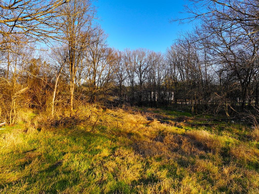 259 Northwest County 3115 Road Purdon, TX 76679 - Photo 8 of 15