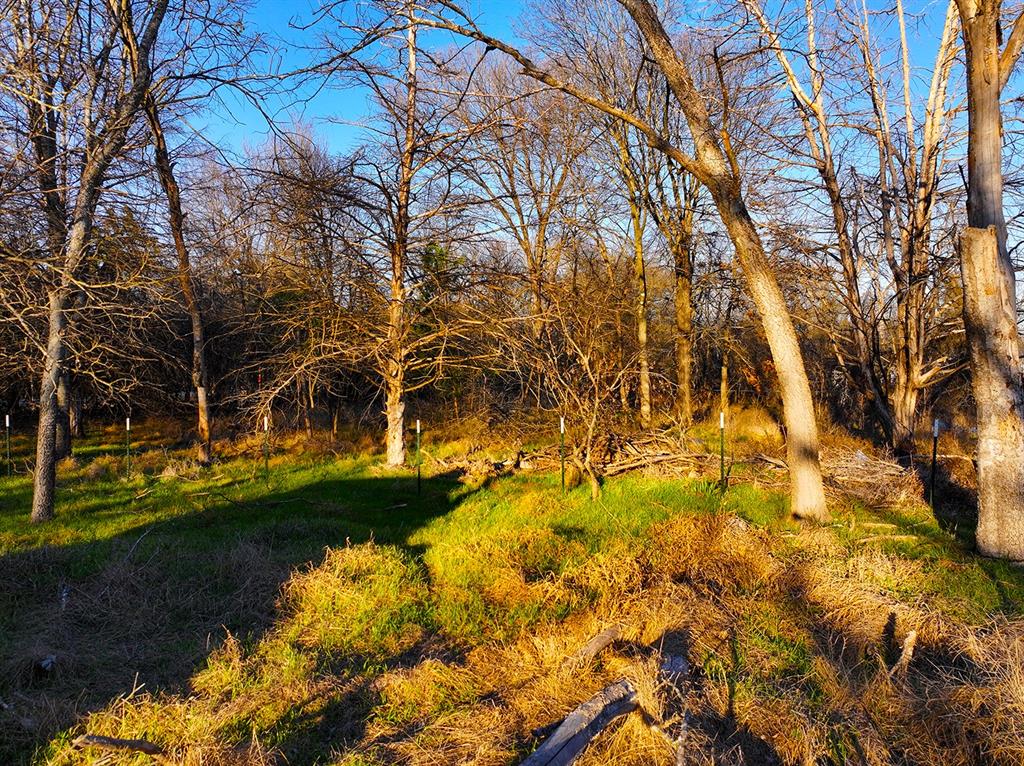 259 Northwest County 3115 Road Purdon, TX 76679 - Photo 9 of 15