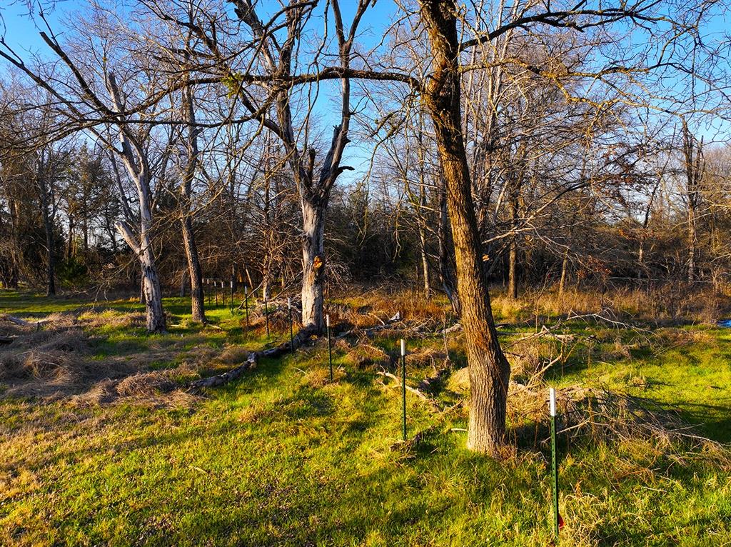 259 Northwest County 3115 Road Purdon, TX 76679 - Photo 10 of 15