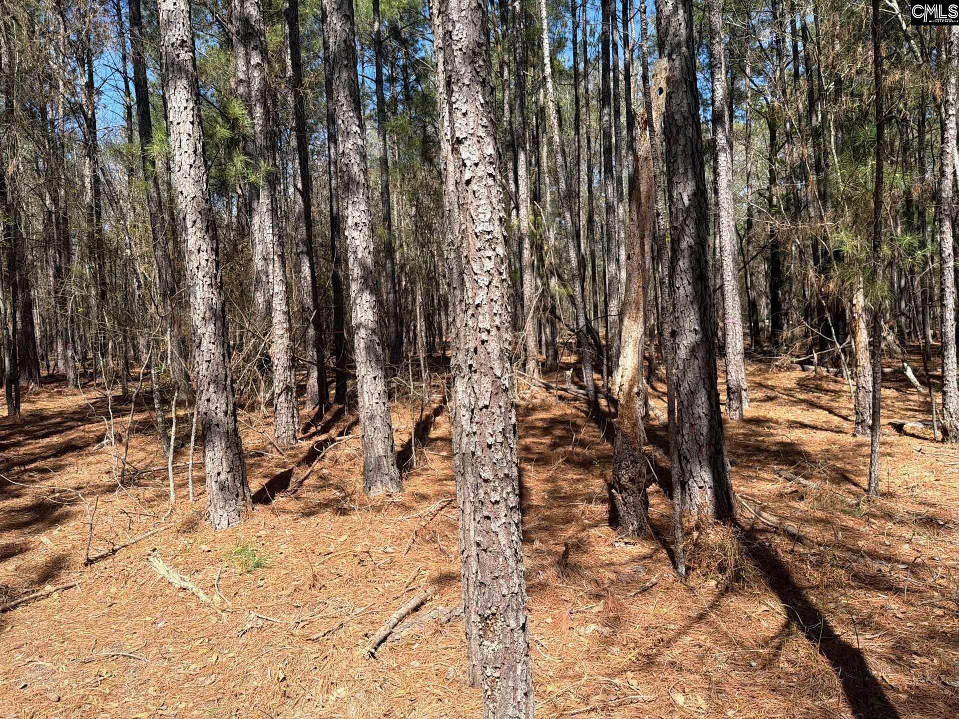 13 Boise Cascade Road, Unit BHL 13 Bethune, SC 29009 - Photo 18 of 31