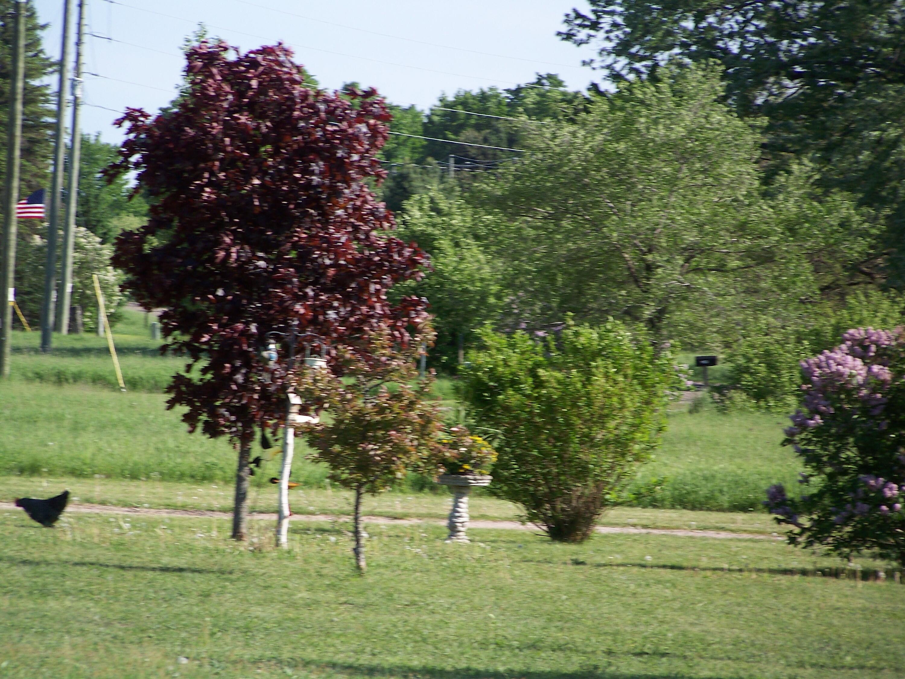 9724 North Sherman Road Frederic, MI 49733 - Photo 2 of 69 Gallery Image 2