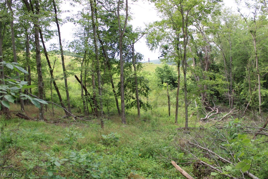 Fargo Road Dellroy, OH 44620 - Photo 18 of 21
