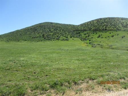 a view of a green field with an ocean view