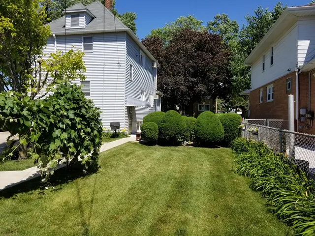 a view of backyard with potted plants and a large tree