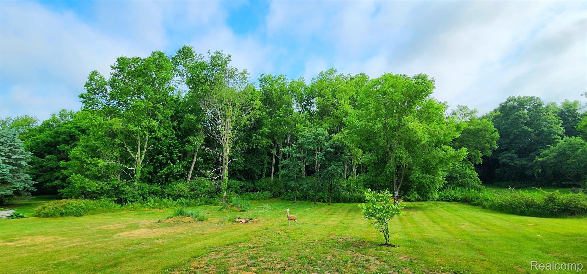 4193 Morton Road Stockbridge, MI 49285 - Photo 12 of 46 Gallery Image 12