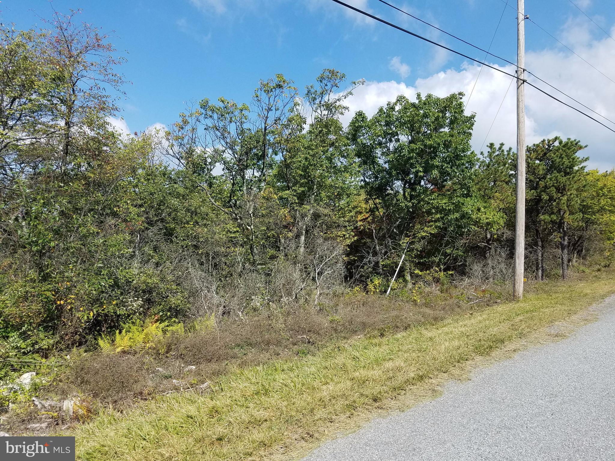 Timber Ridge Trail Winchester, VA 22602 - Photo 1 of 11 View from the road