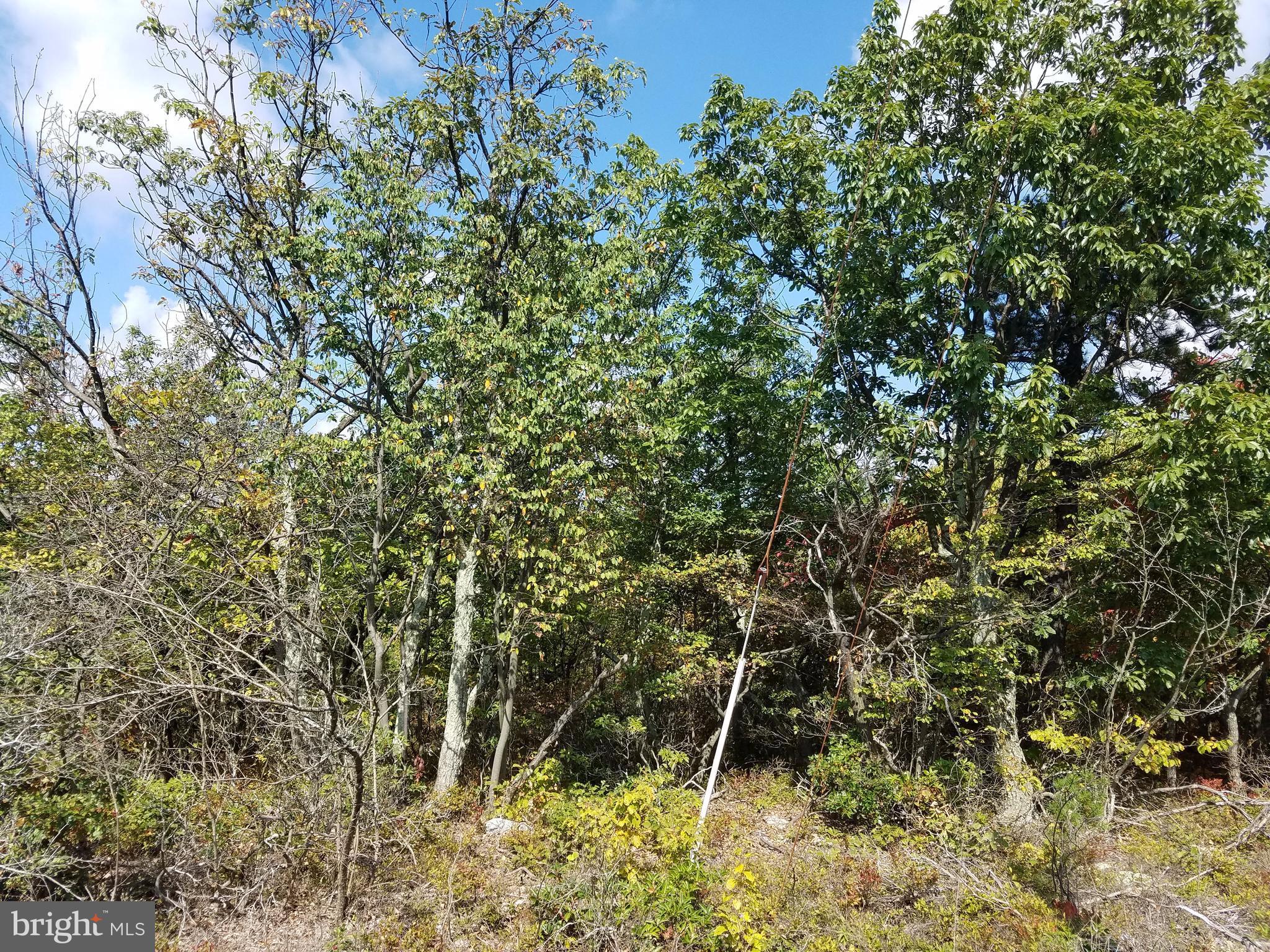 Timber Ridge Trail Winchester, VA 22602 - Photo 2 of 11 View