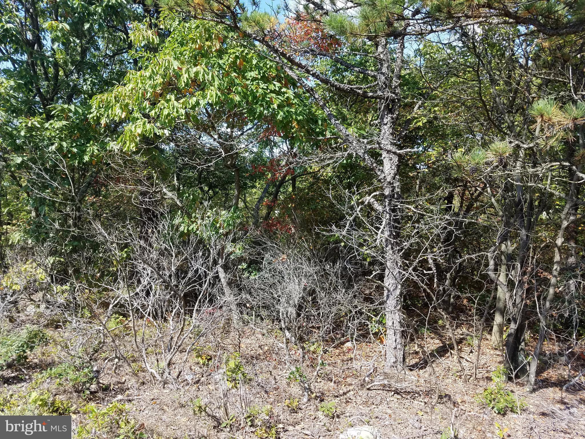 Timber Ridge Trail Winchester, VA 22602 - Photo 3 of 11 View