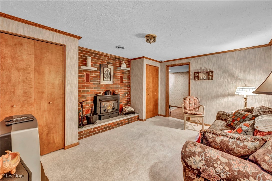 9184 Zimmerman Road Homerville, OH 44235 - Photo 44 of 50 Living room with ornamental molding, a textured ceiling, light colored carpet, and a wood stove