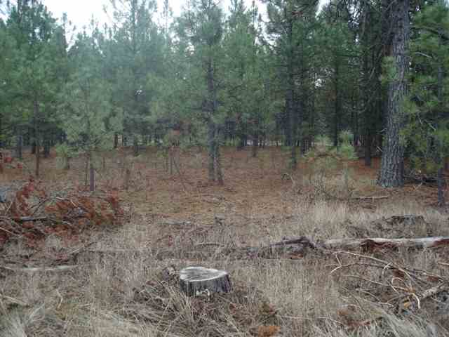 31823 North Perry Road Deer Park, WA 99006 - Photo 8 of 8 Gallery Image 8