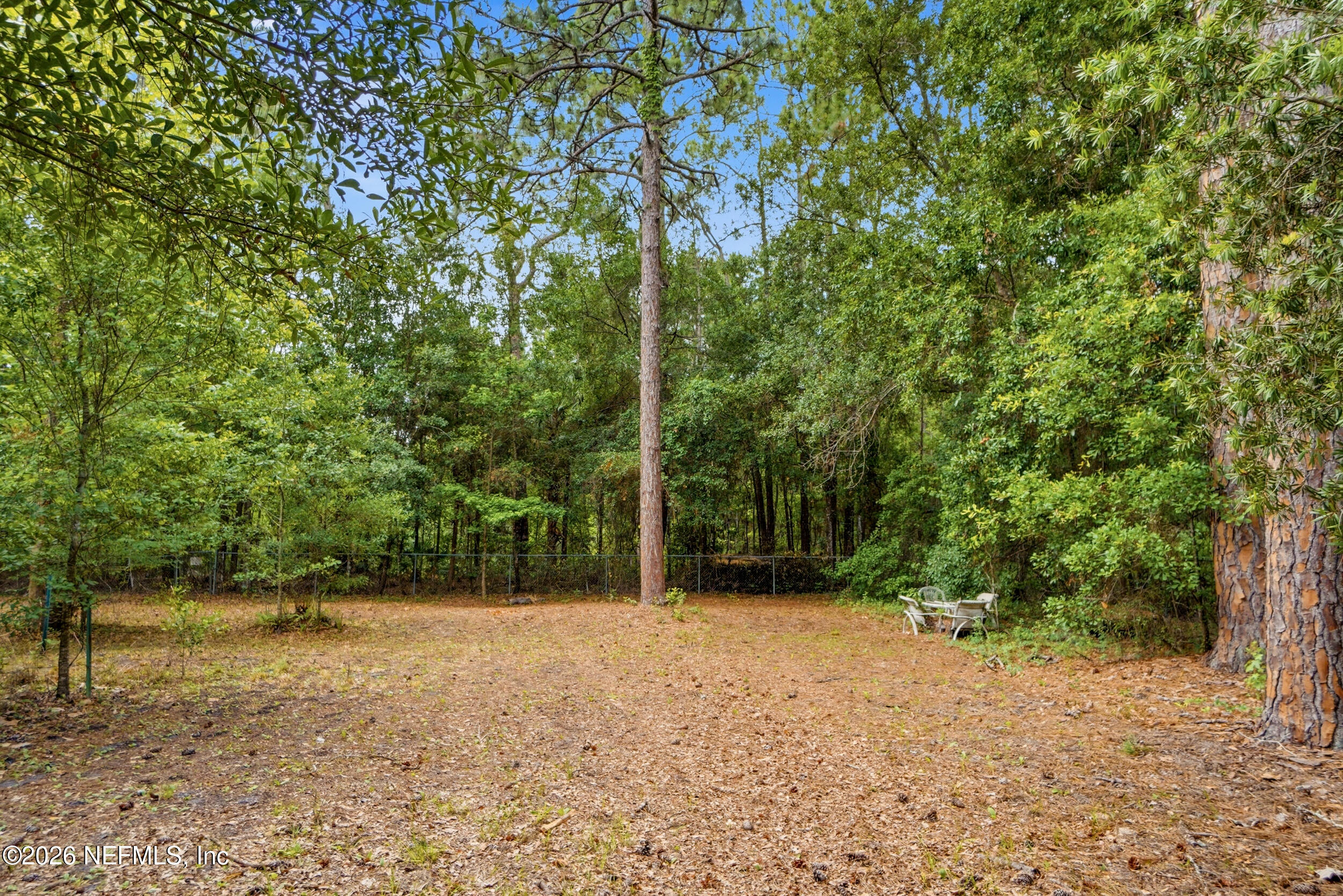 4688 Early Rise Lane Jacksonville, FL 32258 - Photo 14 of 19 4688 early rise ln-009