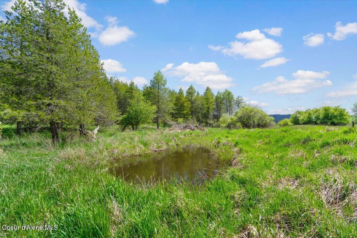 572 Foote Road Desmet, ID 83824 - Photo 35 of 38 Several ponds on property