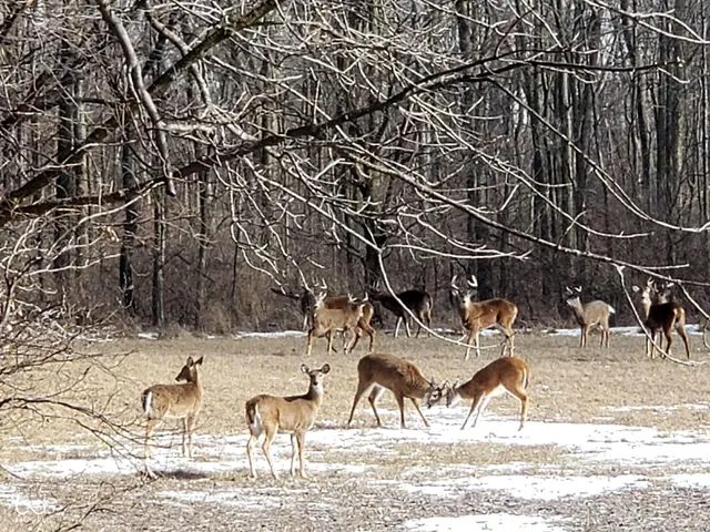 $890,000 | 10162 New Richmond Road, New Richmond, IN 47967