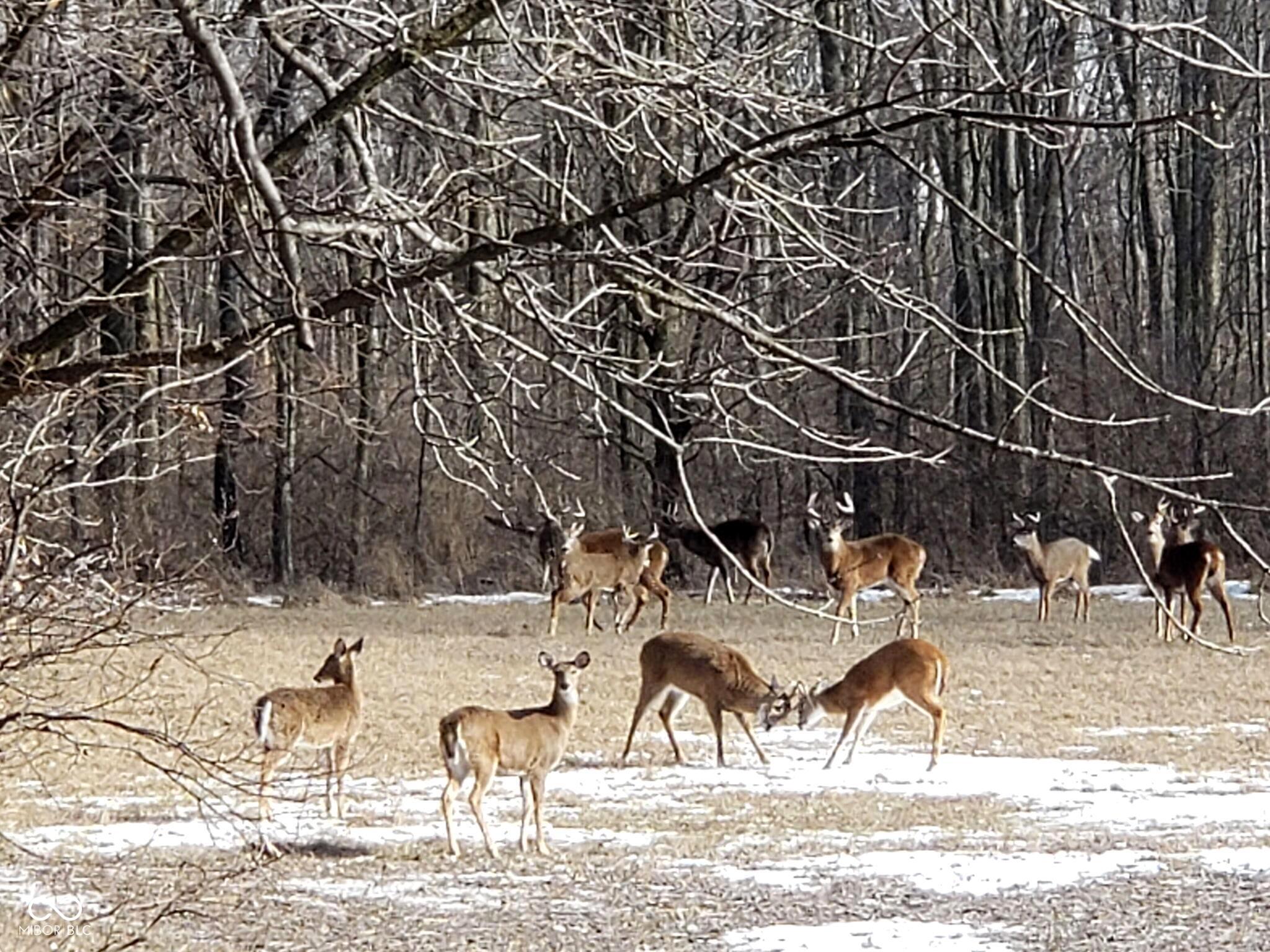 10162 New Richmond Road New Richmond, IN 47967 - Photo 47 of 60