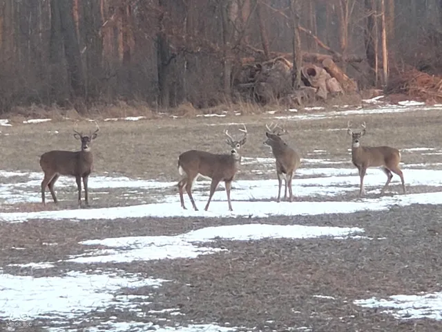 $890,000 | 10162 New Richmond Road, New Richmond, IN 47967