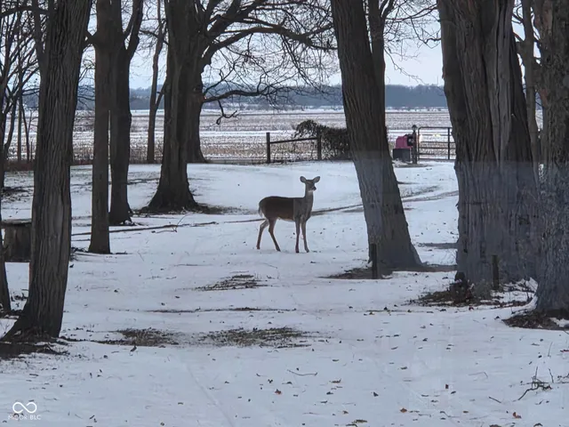 $890,000 | 10162 New Richmond Road, New Richmond, IN 47967