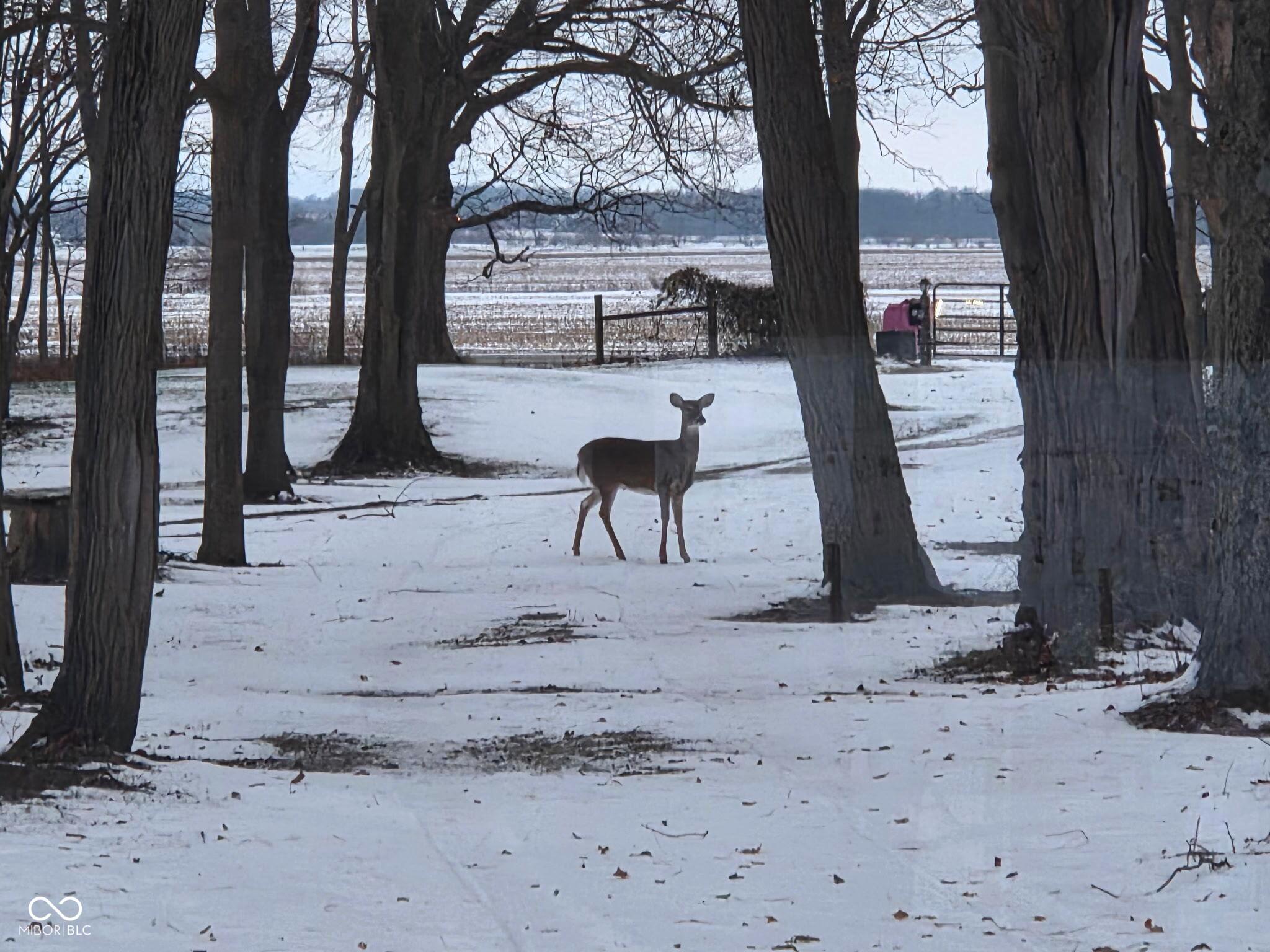 10162 New Richmond Road New Richmond, IN 47967 - Photo 49 of 60