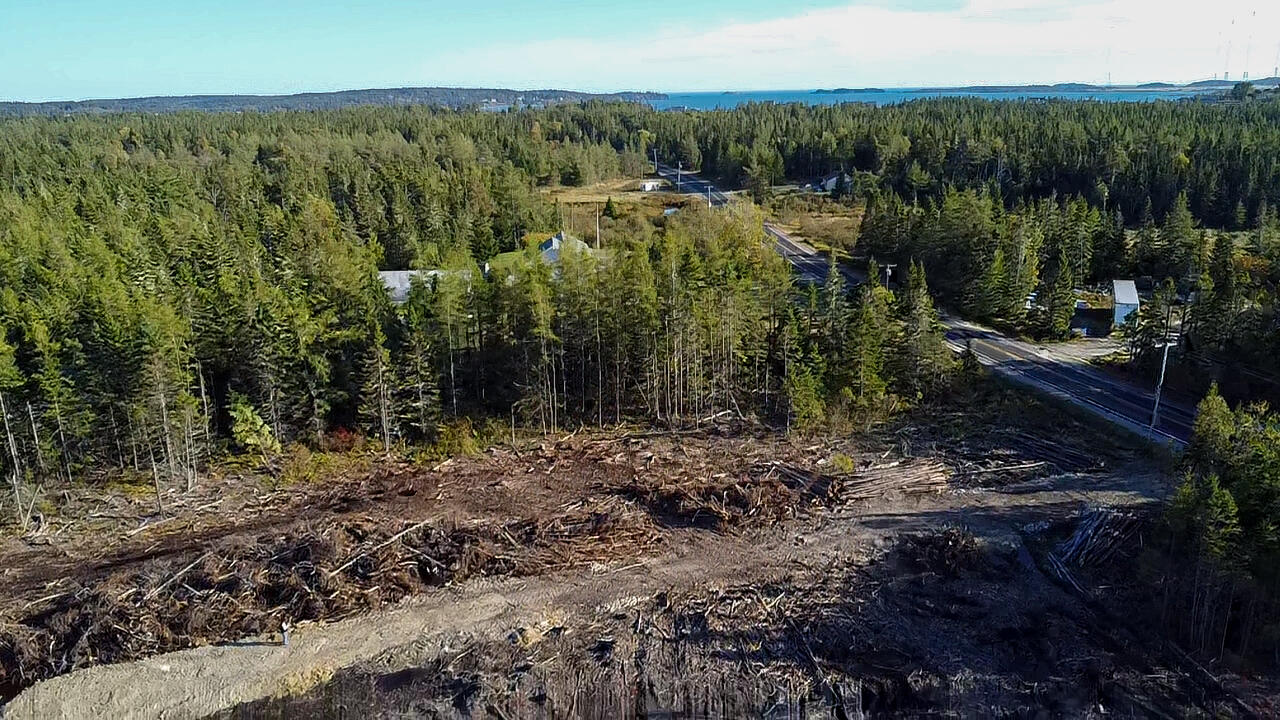 06 Lots Road Cutler, ME 04626 - Photo 11 of 23 aerial view
