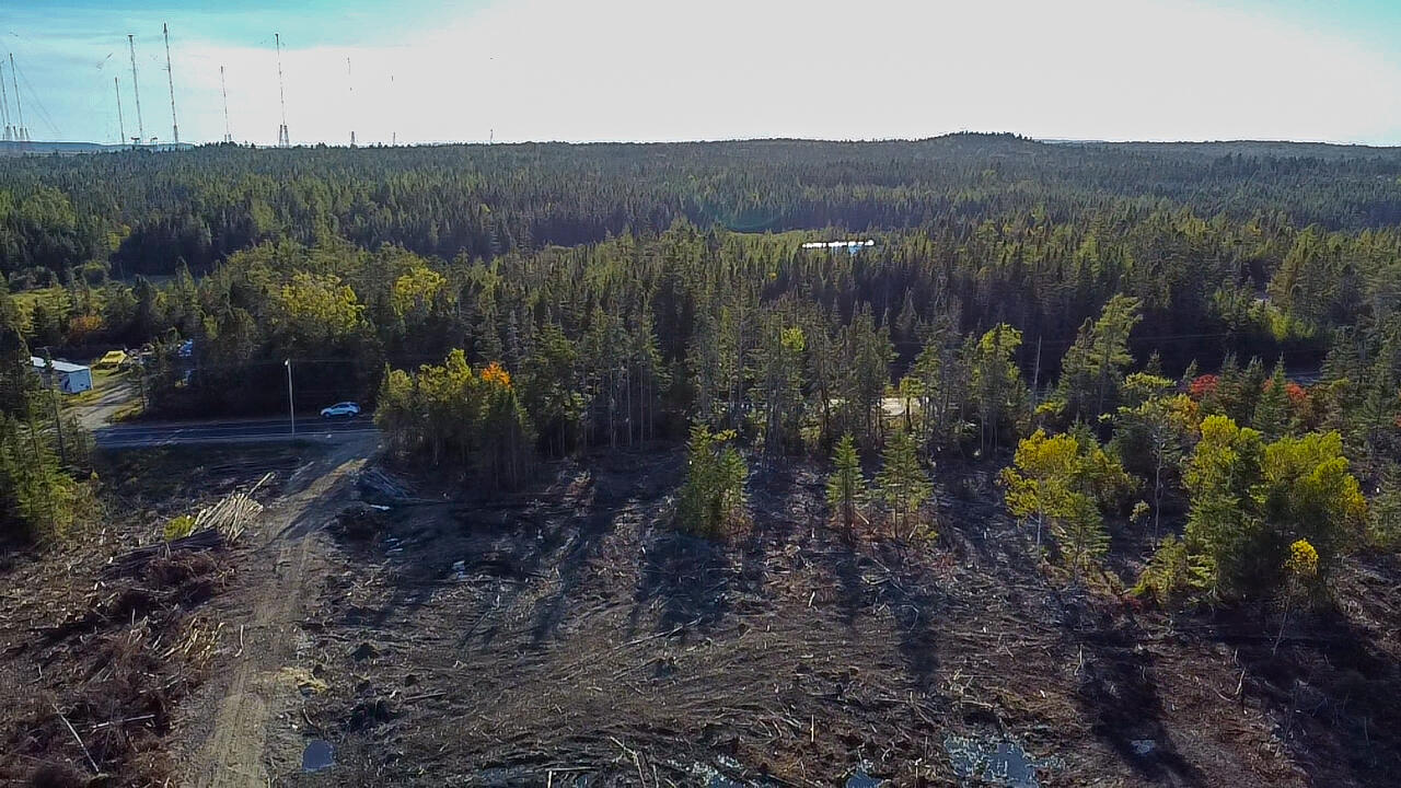 06 Lots Road Cutler, ME 04626 - Photo 12 of 23 aerial view