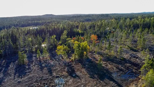 $75,000 | 06 Lots Road, Cutler, ME 04626